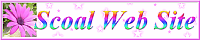 http://www.mtsuite.com/Link/Sbanner.png