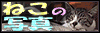http://www.mtsuite.com/Link/nekob2.gif